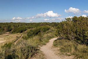 Dünenweg