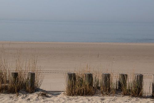 Strand Zoutelande