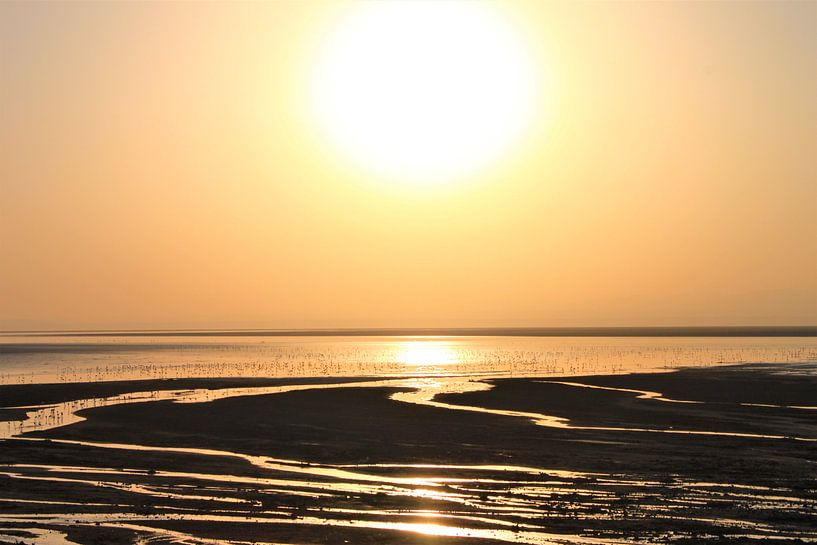 lake natron by Roger Hagelstein