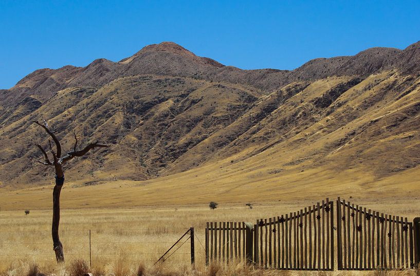 langs de weg in namibië van Ed Dorrestein