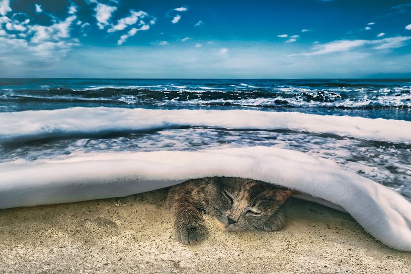 Enchanting Beach Scene with Sleeping Cat Under Magical Sea Blanket - Unique Wall Decoration by Elianne van Turennout