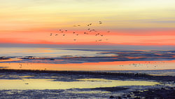 Sunset over the mudflats