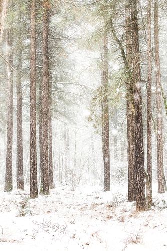 Winter Herperduin. by Ron van der Stappen