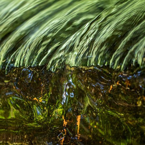 Green power: the ecosystem of life by Sia Windig