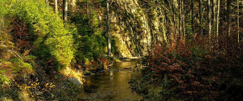 Natur im Erzgebirge von Johnny Flash