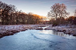 Schlosspark Elsloo