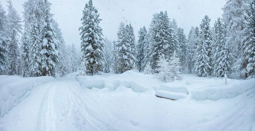 Stark schneebedeckter Nadelwald, Pontresina, Oberengadin, Schweiz von Rene van der Meer