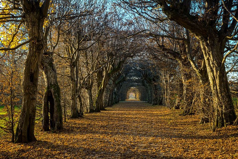 Schloss Seehof im Herbst von Luis Emilio Villegas Amador
