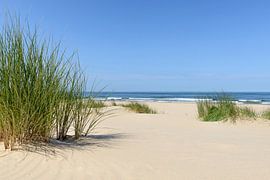 Sommer am Strand von Sjoerd van der Wal Fotografie