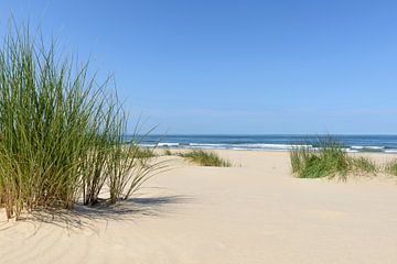 Sommer am Strand von Sjoerd van der Wal