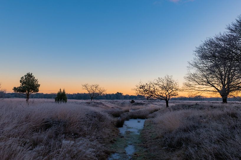 frozen nature by snippefotografie