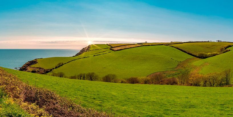 Green coast by Sabine Wagner