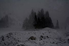 SNOWSTORM 1 by Miroslav Ptacek