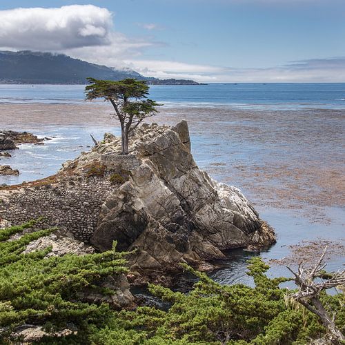 where earth meets water