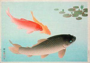 Ohara Koson - Gewöhnlicher und goldener Karpfen (bearbeitet)