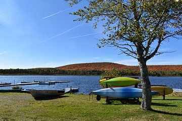 Camping du lac in autumn by Claude Laprise