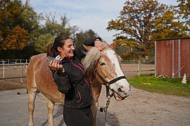 Preparation of the horse before training