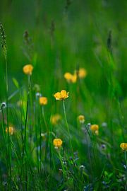 Printemps sur Thomas Jäger