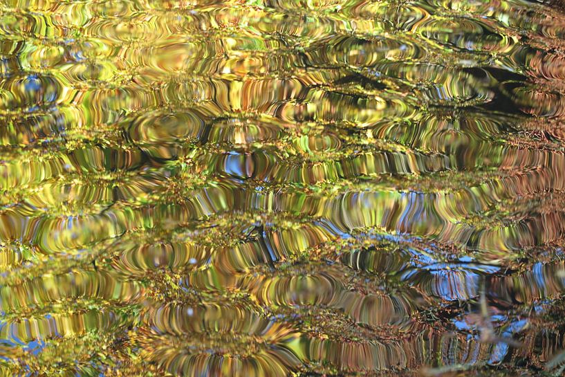 Autumn colours in the water by Hanneke Ruijterlinde