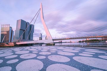 Erasmusbrug - Rotterdam van AdV Photography