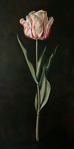 Tulipe