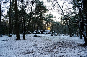 D45 in de sneeuw van Hans Peter Debets