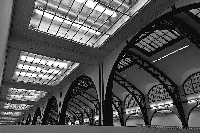 La poésie de la lumière par Silva Wischeropp