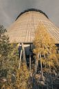 Unfinished cooling tower of unit 5 of the Chernobyl nuclear power plant by Robert Ruidl thumbnail