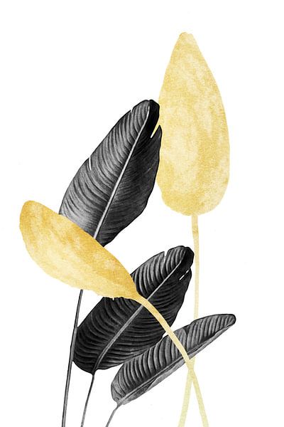 Paradiesvogel Pflanze Schwarz, Weiß und Gold 02 von amini54 
