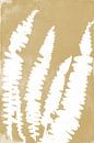 White fern leaves in retro style. Modern botanical minimalist art in yellow and white by Dina Dankers thumbnail