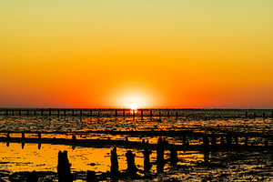 Wattenmeer, Sonnenaufgang am Paesens Moddergat