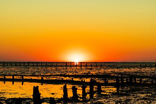 Wadden Sea, sunrise at Paesens Moddergat