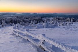 Schwarzwald, ein Wintertraum von Markus Lange