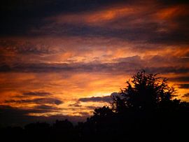 Oranje Hemel sur Merel de Ling