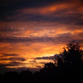 Oranje Hemel sur Merel de Ling