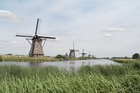 Mills Kinderdijk