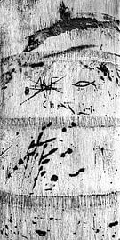 Graphics in nature. 6 by Alie Ekkelenkamp