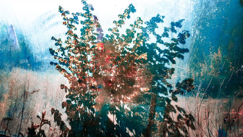 Abstract 11 by Anna Hiemstra