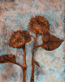 Sonnenblumen in Blau von Evelien van der West