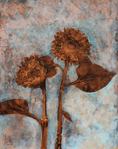 Sunflowers in Blue