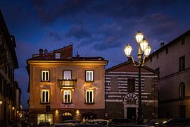 Mignon Donna von Hans Soowijl