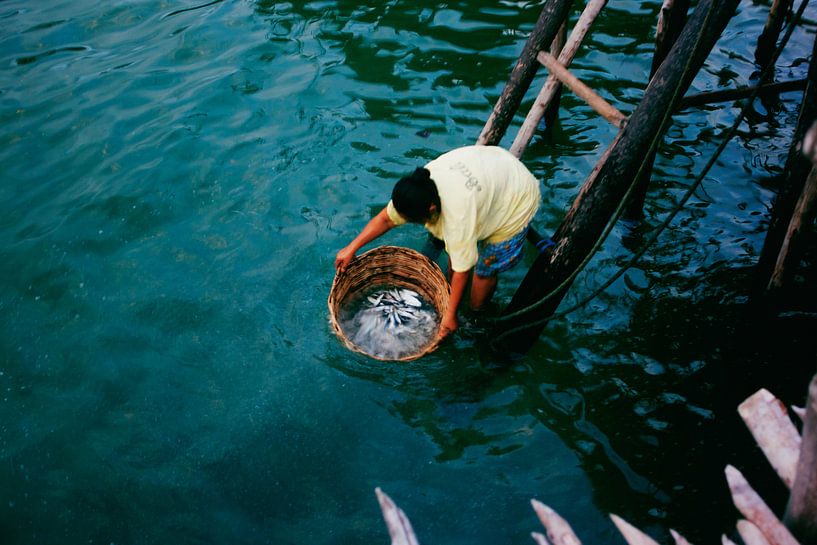 La femme d'un pêcheur récolte le produit de la pêche par André van Bel