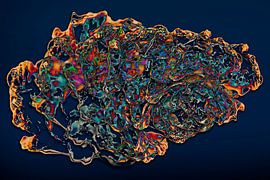 Abstraktion - Bewegung - #001 (Nachtversion)