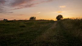 Nature 020 by RiBi Photography