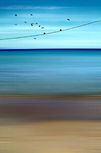 CRETAN SEA & BIRDS II v1