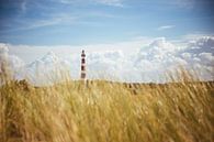 Ameland Leuchtturm & Dünen von Nico van der Vorm Miniaturansicht
