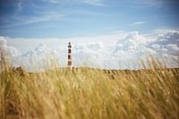 Ameland lighthouse & dunes