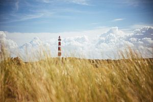 Ameland Leuchtturm & Dünen von Nico van der Vorm