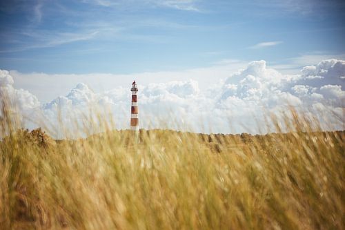 Ameland Leuchtturm & Dünen