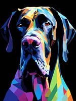 Grand danois Pop Art
